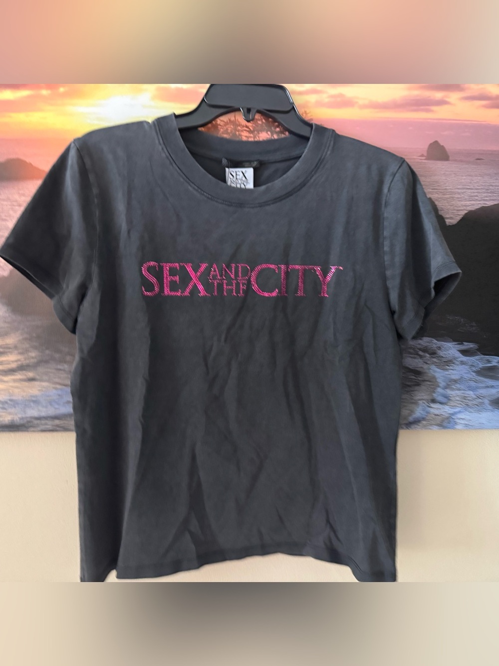 Zara Charcoal Gray 'Sex and the City' Short Sleeve Tee with Pink Logo/ L/NWT